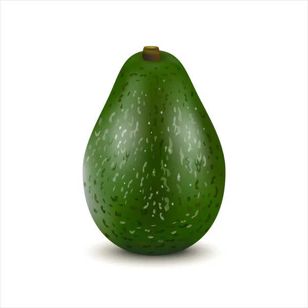 Avocat Mûr Entier Isolé Sur Fond Blanc Fruits Végétariens Illustration — Image vectorielle