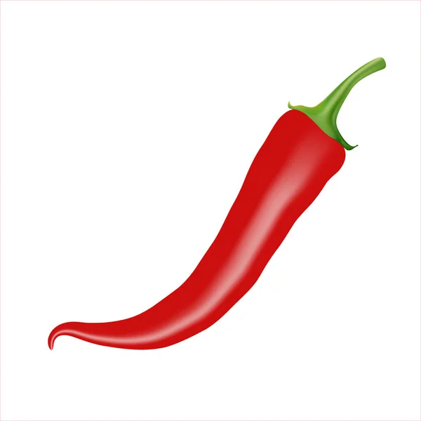 Vektorová Realistická Ilustrace Červené Pálivé Chilli Papričky Design Pro Potraviny — Stockový vektor