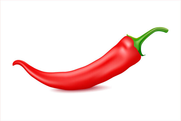 Realistic illustration of red chili pepper. Design for food, condiments and spices package, design for grocery recipe website design, cookbook. 