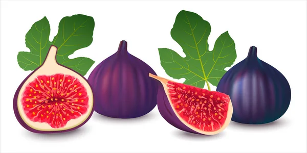 Ripe Delicious Figs Whole Cut Half Quarter Realistic Illustration Fresh — Stock Vector