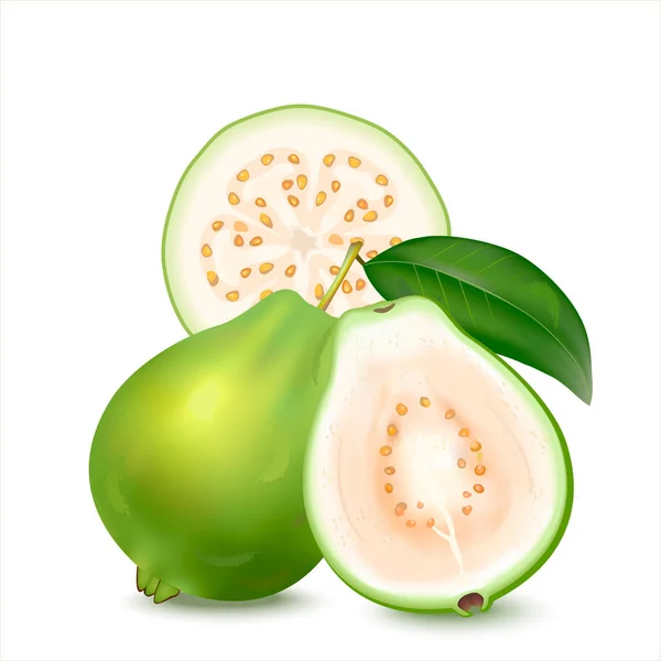 Realistische Illustration Der Weißen Grünen Guave Frische Ganze Guaven Mit — Stockfoto