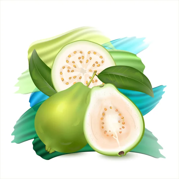 Set Realistic Illustration White Guava Background Bright Brush Strokes Fresh — Vettoriale Stock