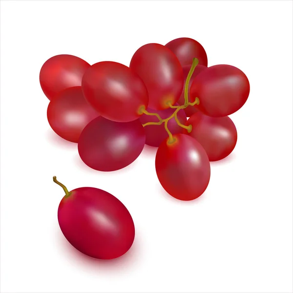 Ripe Red Grapes Sprig Close White Background Cluster Fresh Juicy — Stock Photo, Image