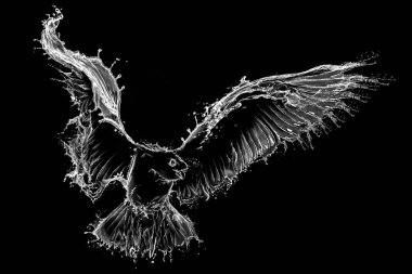 Sudan yapılan grafiksel martı kara zemine sıçrıyor.