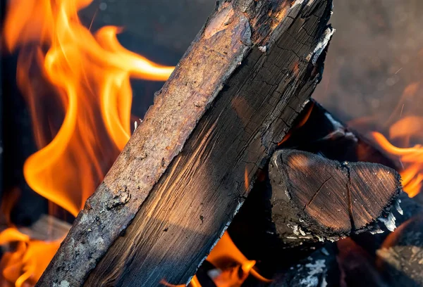 Close up photo of burned firewood with colorful flame behind it. Stock Photo