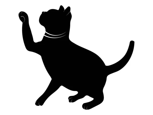 Vektorcliparts der verspielten Katze. EPS10 — Stockvektor