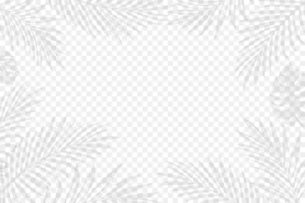 异国的棕榈树叶子在透明的背景上.可编辑的矢量说明。EPS10. — 图库矢量图片#