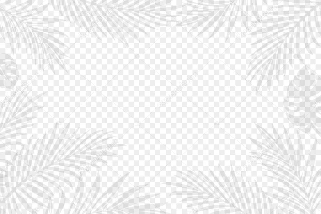 Exotic palm tree leaves on the transparent background. Editable vector illustration. EPS10.