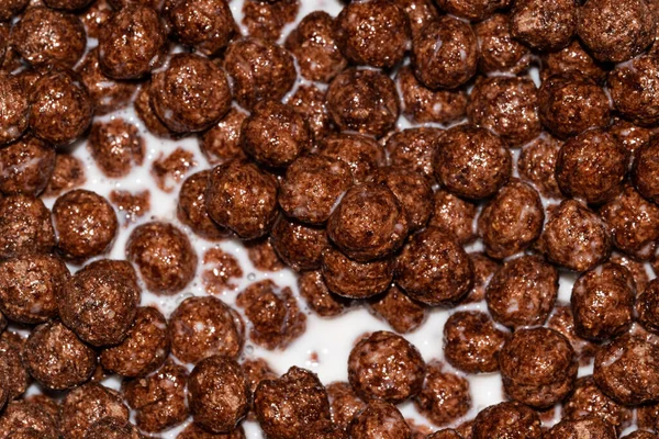 High fiber chocolate cornflakes in milk for breakfast. — Stock Photo, Image