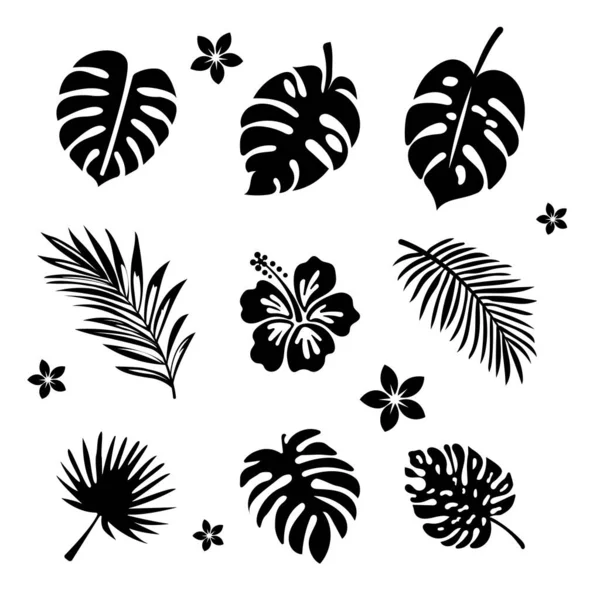 Editable Silhouettes Exotic Leaves Flowers Vector White Background — Stok Vektör