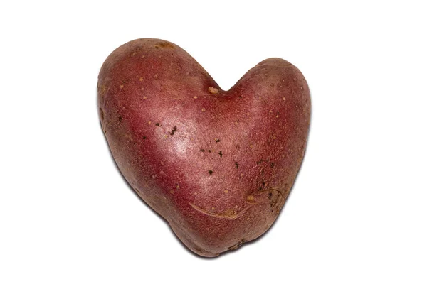 Isolated Heart Shaped Potato White Background — Stockfoto