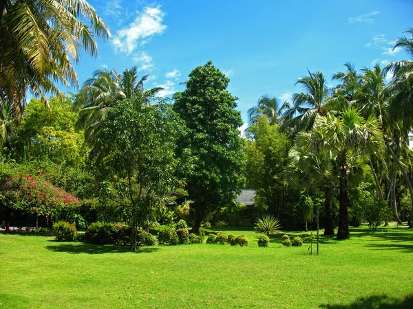 Tropical paradise — Stock Photo, Image