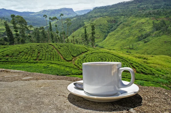 Weiße Teetasse — Stockfoto