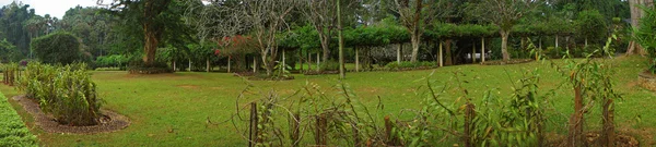 Panoramic landscape. Sri Lanka.