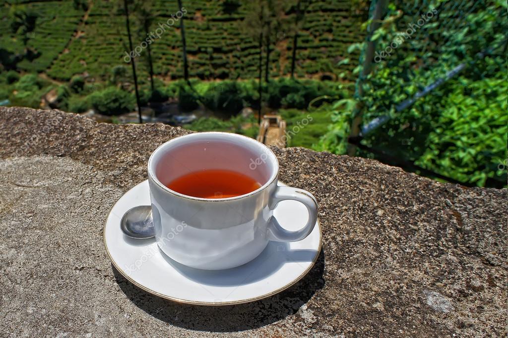 Black tea cup. Sri lanka Stock Photo by ©Helen_F 34708797