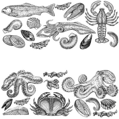 Seafood illustrations. Hand drawn line sea fishes, sushi rolls, oysters, mussels, lobster, squid, octopus, crabs, prawns fish fillet Healthy food natural set