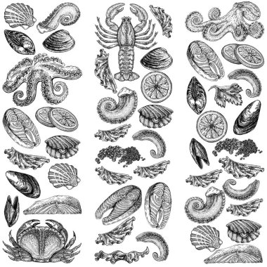 Seafood illustrations. Hand drawn line sea fishes, sushi rolls, oysters, mussels, lobster, squid, octopus, crabs, prawns fish fillet Healthy food natural set