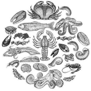Seafood illustrations. Hand drawn line sea fishes, sushi rolls, oysters, mussels, lobster, squid, octopus, crabs, prawns fish fillet Healthy food natural set