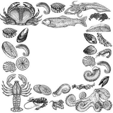 Seafood illustrations. Hand drawn line sea fishes, sushi rolls, oysters, mussels, lobster, squid, octopus, crabs, prawns fish fillet Healthy food natural set