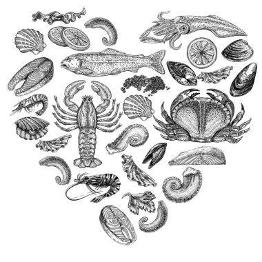 Seafood illustrations. Hand drawn line sea fishes, sushi rolls, oysters, mussels, lobster, squid, octopus, crabs, prawns fish fillet Healthy food natural set