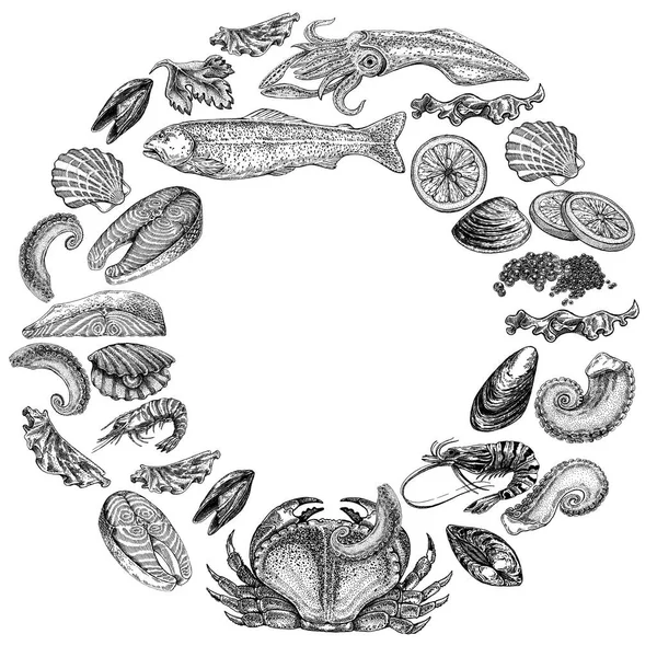 Seafood illustrations. Hand drawn line sea fishes, sushi rolls, oysters, mussels, lobster, squid, octopus, crabs, prawns fish fillet Healthy food natural set
