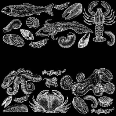 Seafood illustrations. Hand drawn line sea fishes, sushi rolls, oysters, mussels, lobster, squid, octopus, crabs, prawns fish fillet Healthy food natural set