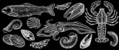 Seafood illustrations. Hand drawn line sea fishes, sushi rolls, oysters, mussels, lobster, squid, octopus, crabs, prawns fish fillet Healthy food natural set