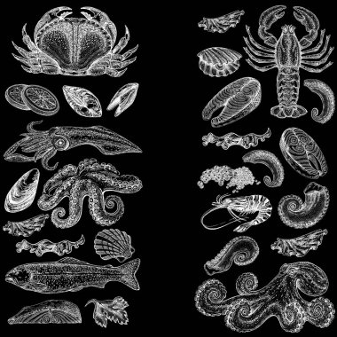 Seafood illustrations. Hand drawn line sea fishes, sushi rolls, oysters, mussels, lobster, squid, octopus, crabs, prawns fish fillet Healthy food natural set