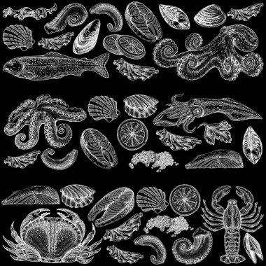 Seafood illustrations. Hand drawn line sea fishes, sushi rolls, oysters, mussels, lobster, squid, octopus, crabs, prawns fish fillet Healthy food natural set