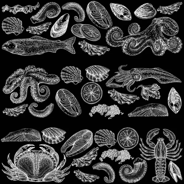 Seafood illustrations. Hand drawn line sea fishes, sushi rolls, oysters, mussels, lobster, squid, octopus, crabs, prawns fish fillet Healthy food natural set
