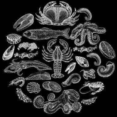 Seafood illustrations. Hand drawn line sea fishes, sushi rolls, oysters, mussels, lobster, squid, octopus, crabs, prawns fish fillet Healthy food natural set