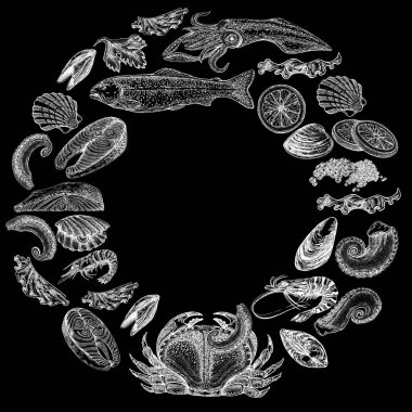 Seafood illustrations. Hand drawn line sea fishes, sushi rolls, oysters, mussels, lobster, squid, octopus, crabs, prawns fish fillet Healthy food natural set