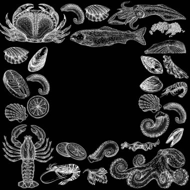 Seafood illustrations. Hand drawn line sea fishes, sushi rolls, oysters, mussels, lobster, squid, octopus, crabs, prawns fish fillet Healthy food natural set