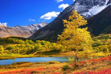 Beautiful landscape on Kamchatka mountains and forests clipart