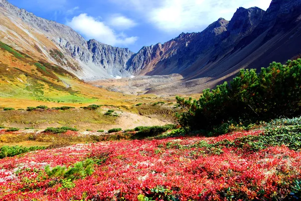 Dağlar ve Kamçatka alanları yaz peyzaj Telifsiz Stok Imajlar
