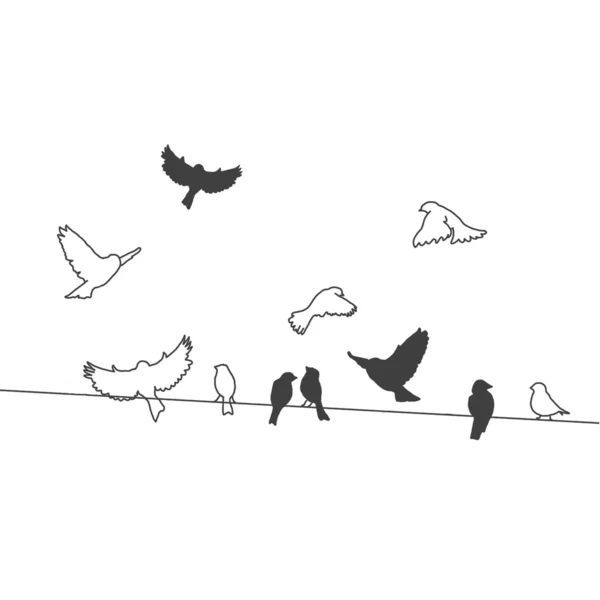 Uccelli su un filo — Foto Stock