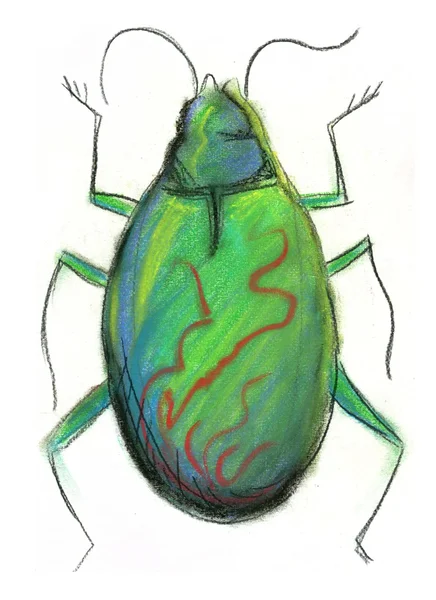 Ilustração do inseto sobre fundo branco — Fotografia de Stock