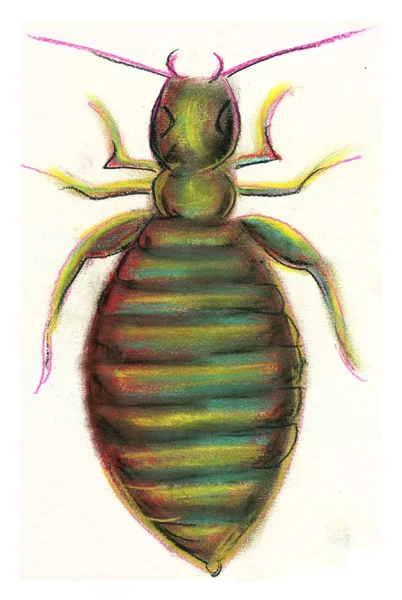 Ilustração do inseto sobre fundo branco — Fotografia de Stock