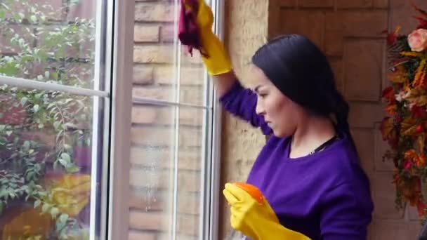 Junge Asiatin in Handschuhen putzt Fenster zu Hause mit Lappen und Reinigungsspray — Stockvideo
