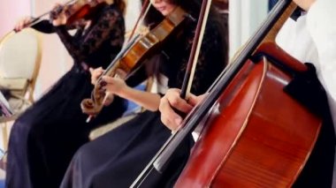 Bir adam bas gitar çalıyor. Arka plan bulanık, kızlar keman çalıyor.