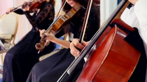 Ein Mann spielt Kontrabass. der Hintergrund verschwimmt, die Mädchen spielen Geige — Stockvideo