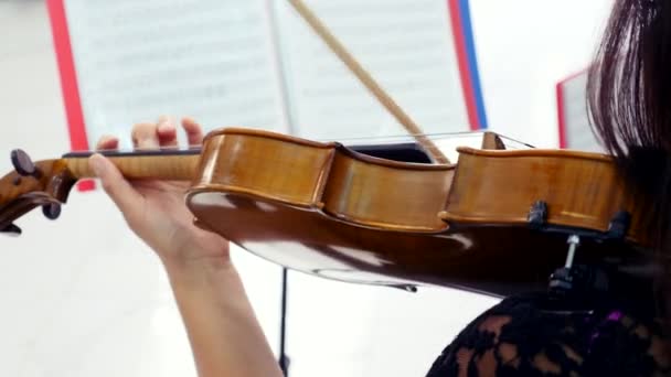 Ragazza suona il violino sullo sfondo di fogli. primo piano del violino. giornata di sole — Video Stock