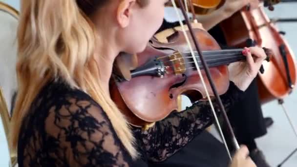 Κοντινό πλάνο μιας γυναίκας που παίζει βιολί. βιολιστική παράσταση Βίντεο Αρχείου