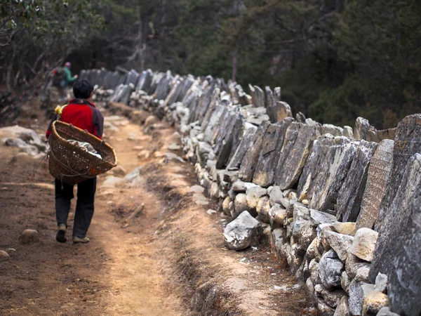 Sherpa Porter Walking on Trail Next to Tibetan Mani Stones — Stock Image Sherpa Porter Walking on Trail Next to Tibetan Mani Stones Stock Image