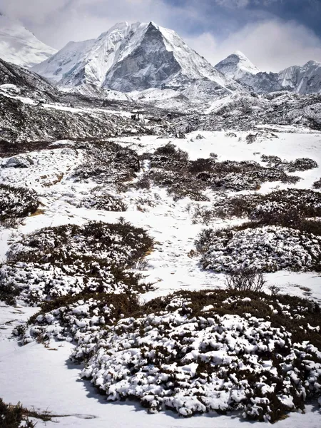 Island Peak, Also Known as Imja Tse, in the Nepal Himalaya — Stock Image Island Peak, Also Known as Imja Tse, in the Nepal Himalaya Royalty Free Stock Photos