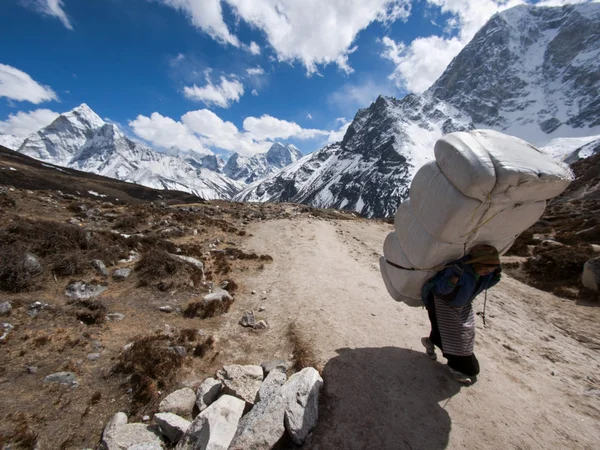 Sherpa Porter em Everest Base Camp Trek, Nepal — Fotografia de Stock