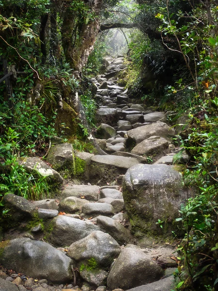 在马来西亚沙巴纳巴卢山的岩石踪迹. — 图库照片