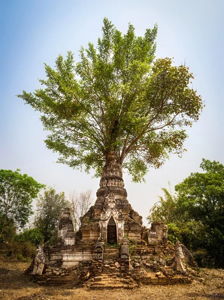 작은 바간, hsipaw, 중산 상태, 미얀마에 있는 고 대 탑 — 스톡 사진