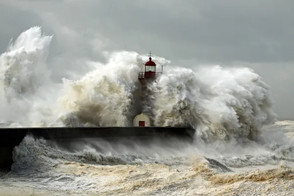 Winderige kust — Stockfoto