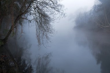 Fear Nehri